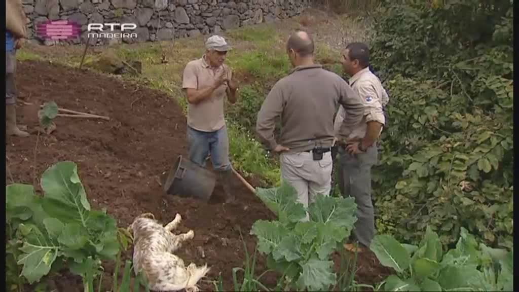 Imagem do Programa / Episiódio - Biomadeira