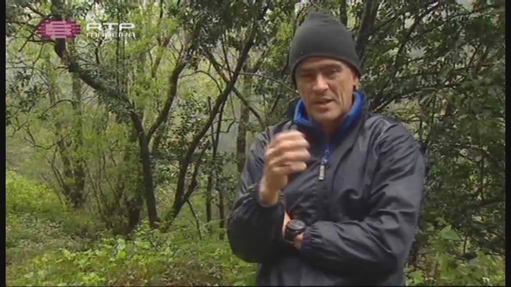 Imagem do Programa / Episiódio - Biomadeira