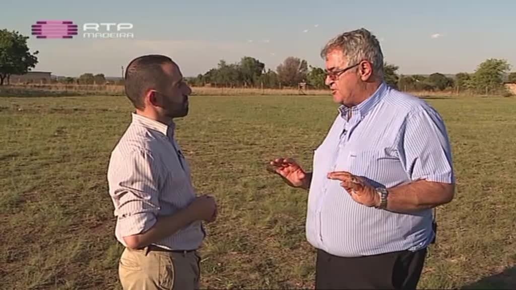 Imagem do Programa / Episiódio - Madeirenses na África do Sul
