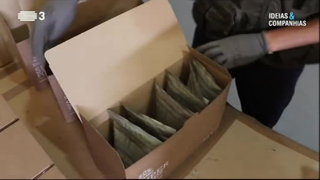 Imagem do Programa / Episiódio - Ideias & Companhias