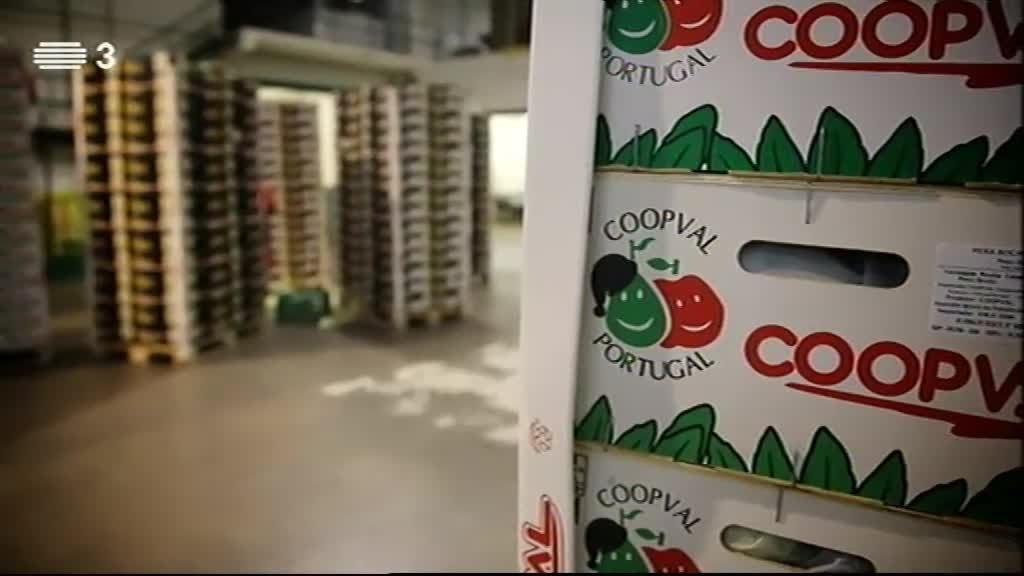 Imagem do Programa / Episiódio - A Essência