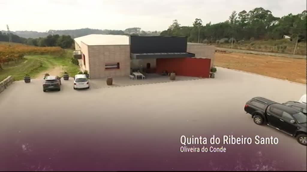 Imagem do Programa / Episiódio - A Essência