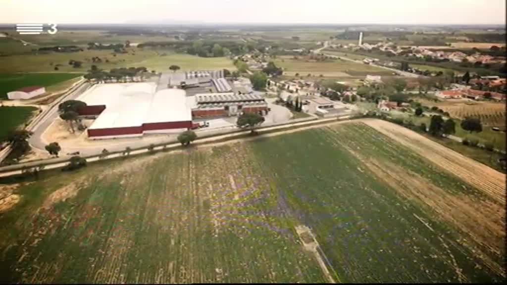 Imagem do Programa / Episiódio - A Essência