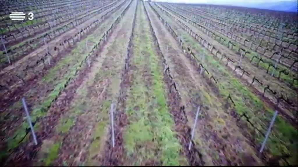 Imagem do Programa / Episiódio - A Essência