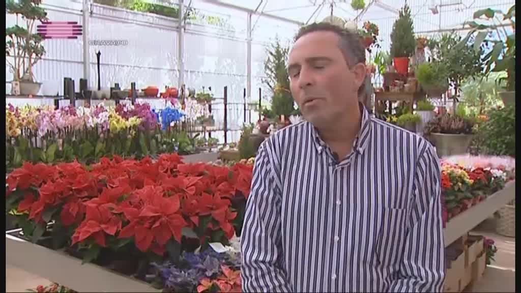 Imagem do Programa / Episiódio - Atlântida Madeira