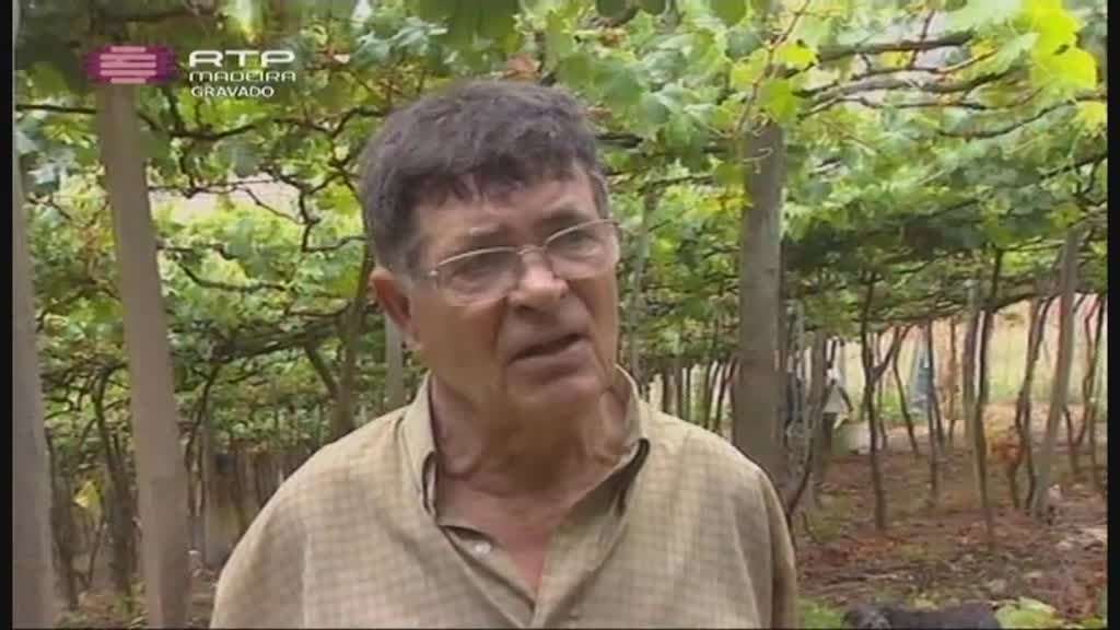 Imagem do Programa / Episiódio - Atlântida Madeira