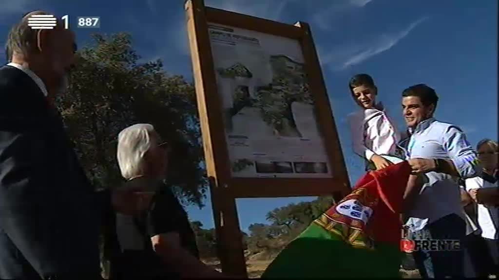 Linha da Frente - A Guerra Tamb�m foi Nossa