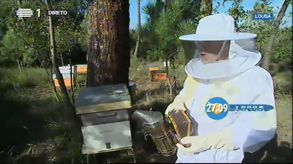 Imagem do Programa / Episiódio - Aqui Portugal