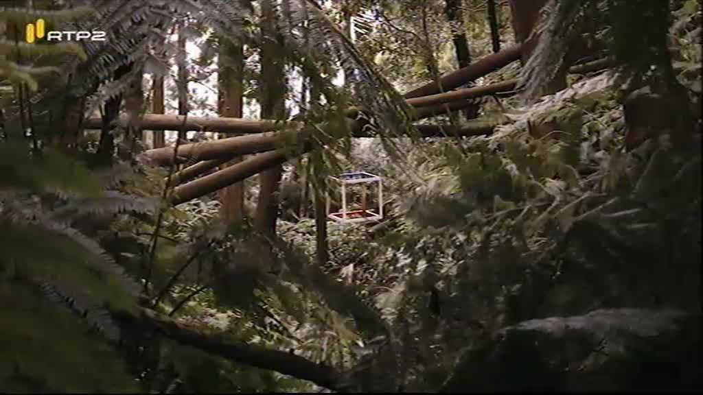 Imagem do Programa / Episiódio - Makers