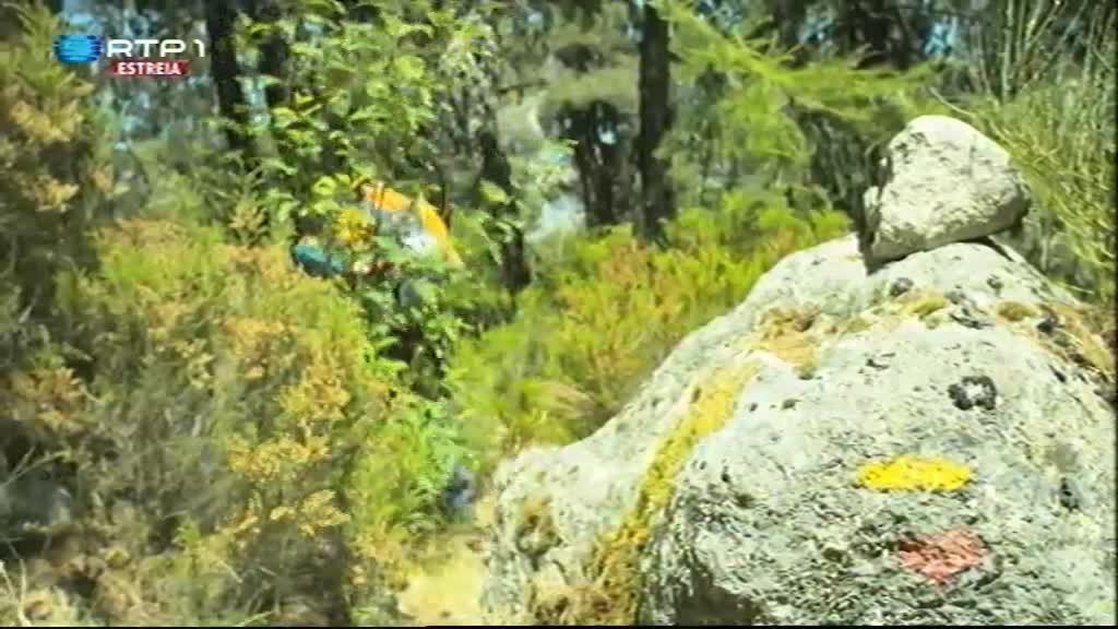 Imagem do Programa / Episiódio - Portugal a Pé! - Serra da Estrela