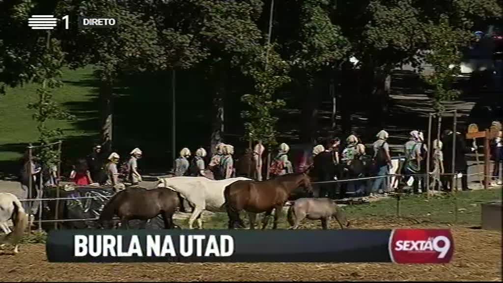 Imagem do Programa / Episiódio - Sexta às 9