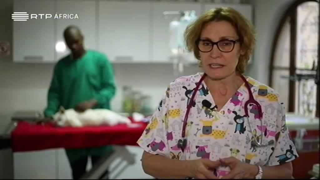 Imagem do Programa / Episiódio - Pérolas do Oceano