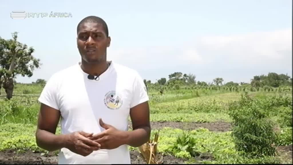 Imagem do Programa / Episiódio - Pérolas do Oceano