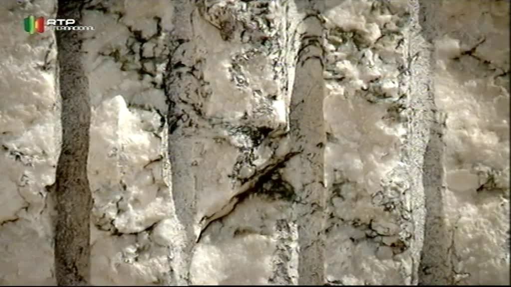 Imagem do Programa / Episiódio - Network Negócios 2016 - Amorim Revestimentos e EFA