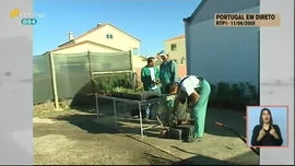 Imagem de Dar Voz a Causas Importantes