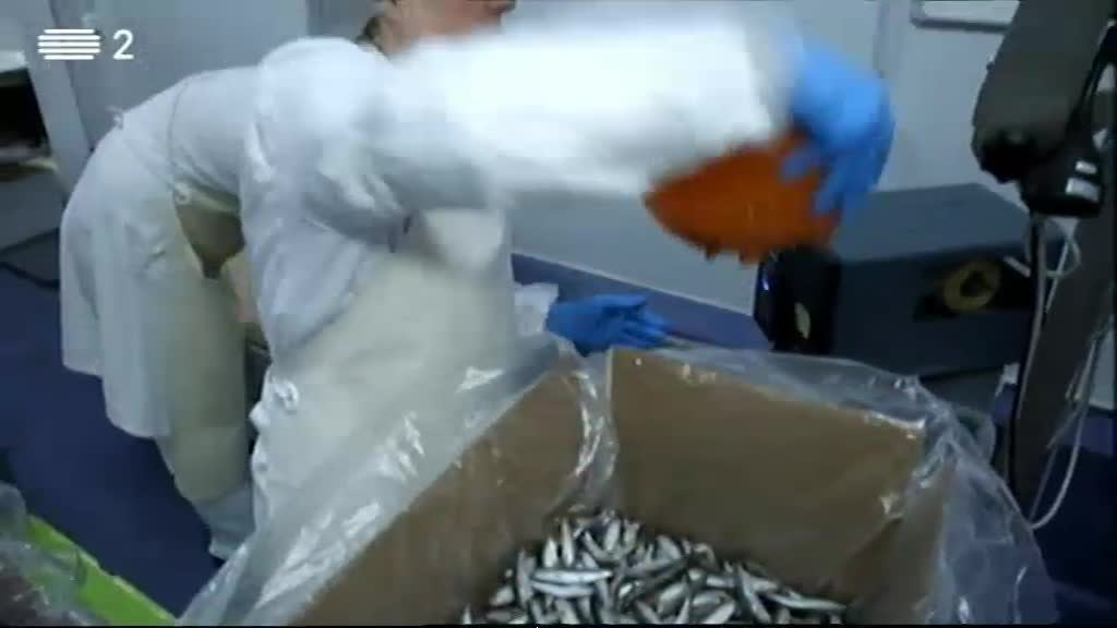 Imagem do Programa / Episiódio - Mais Emprego (Compactos)