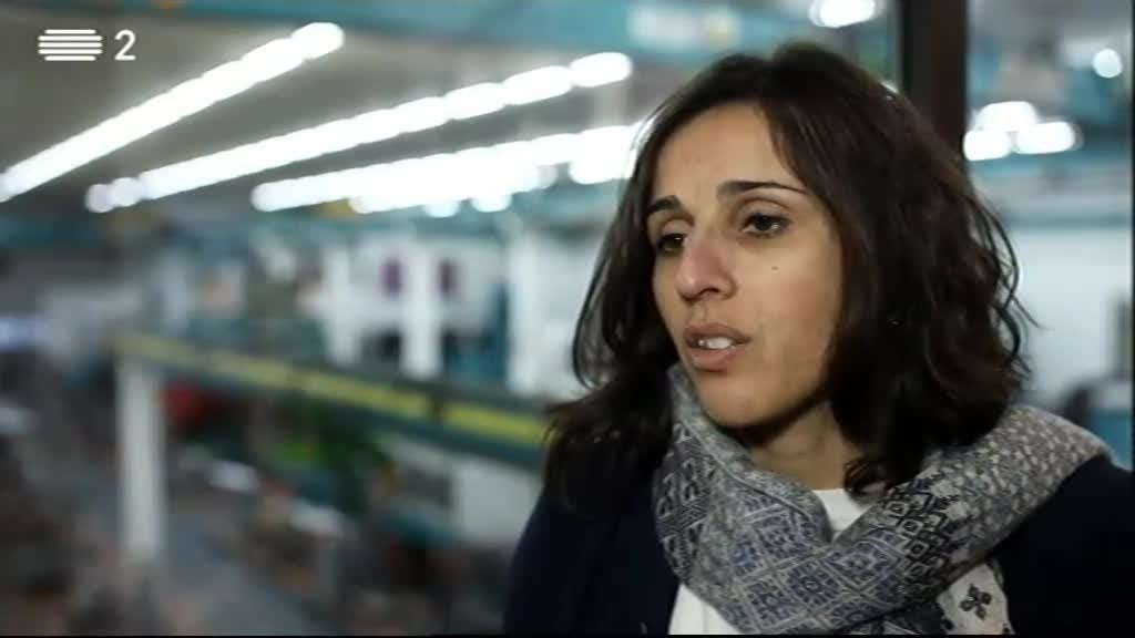 Imagem do Programa / Episiódio - Mais Emprego (Compactos)