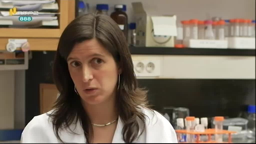 Imagem do Programa / Episiódio - A Minha Tese - Inês Gonçalves (Doutoramento em Engenharia Biomédica - Faculdade de Engenharia da Universidade do Porto)