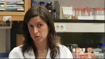 In�s Gon�alves (Doutoramento em Enge...