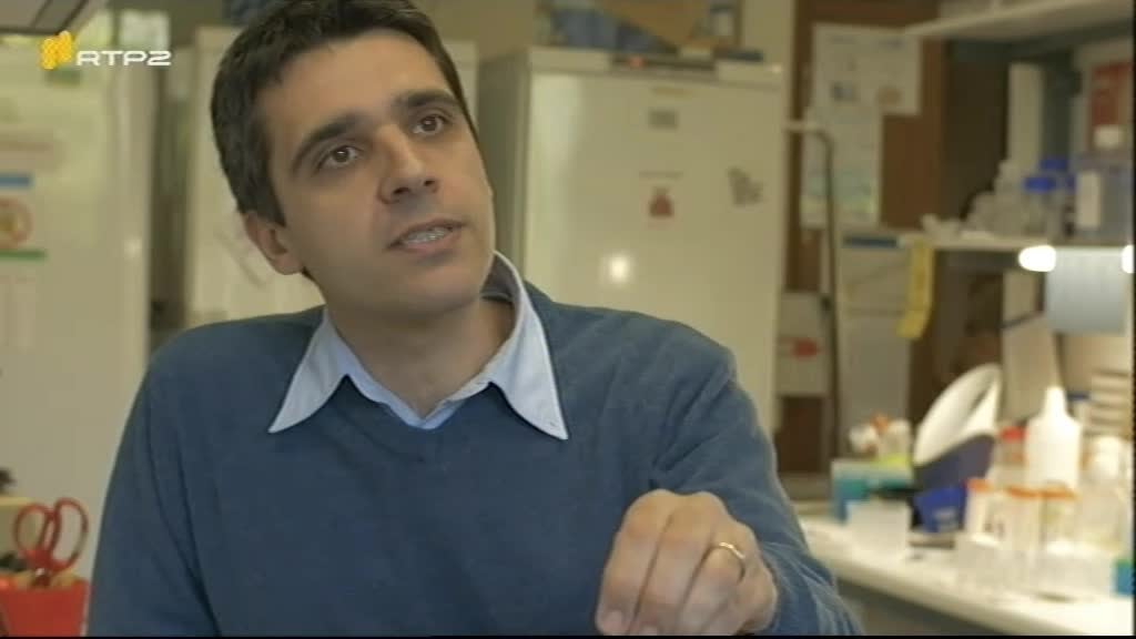 Imagem do Programa / Episiódio - A Minha Tese - Olga Afonso (Doutoranda em Biomedicina - Faculdade de Medicina da Universidade do Porto)