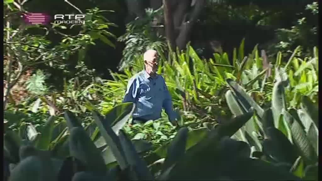 Imagem do Programa / Episiódio - Rota da Flor