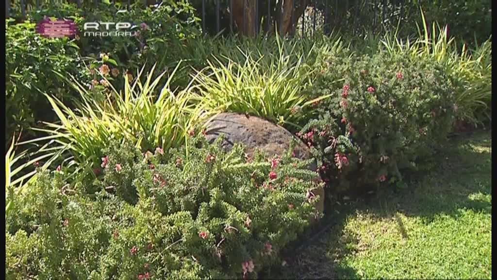 Imagem do Programa / Episiódio - Rota da Flor