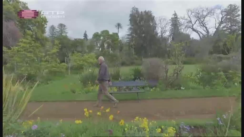 Imagem do Programa / Episiódio - Rota da Flor