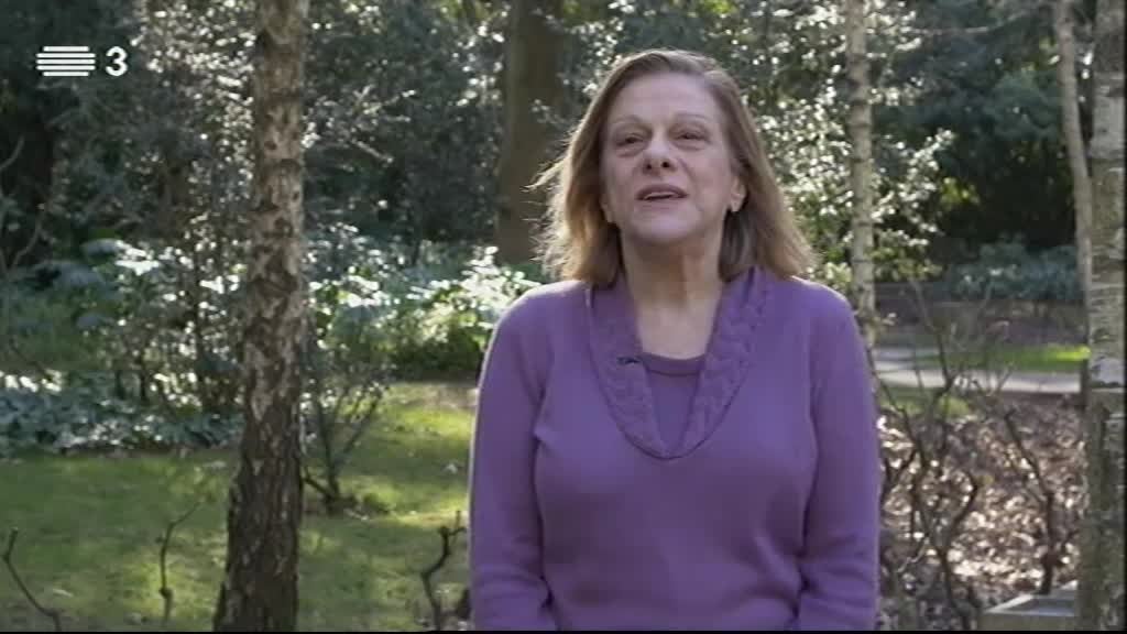 Imagem do Programa / Episiódio - Os Livros