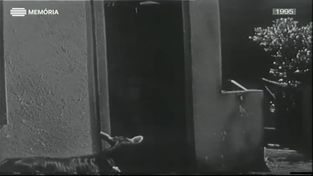 Imagem de Estúdio Um - Memórias do Teatro