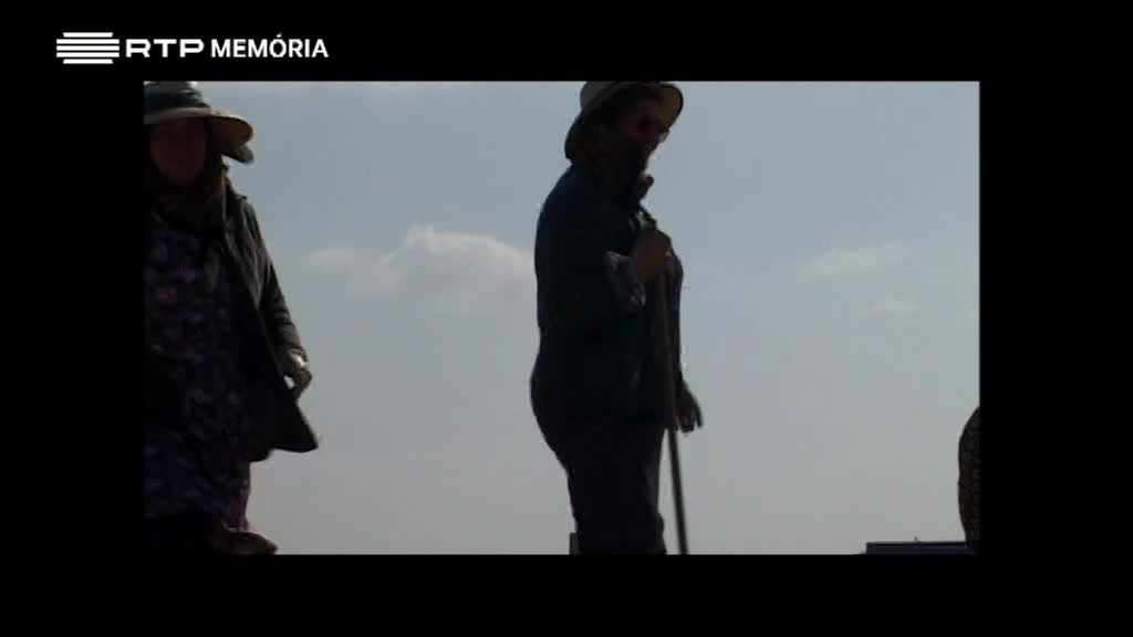 Imagem de O Trabalho