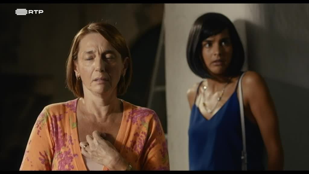 Imagem de O Leão da Estrela - Minissérie