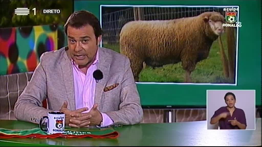 Imagem do Programa / Episiódio - A Culpa é do Ronaldo