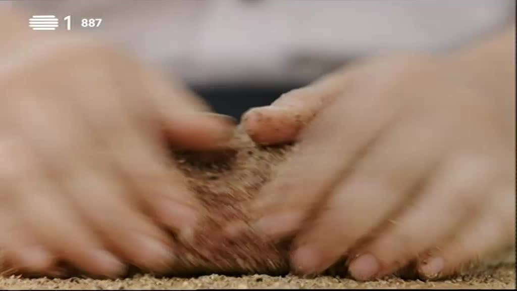 Imagem do Programa / Episiódio - Manual de Instruções