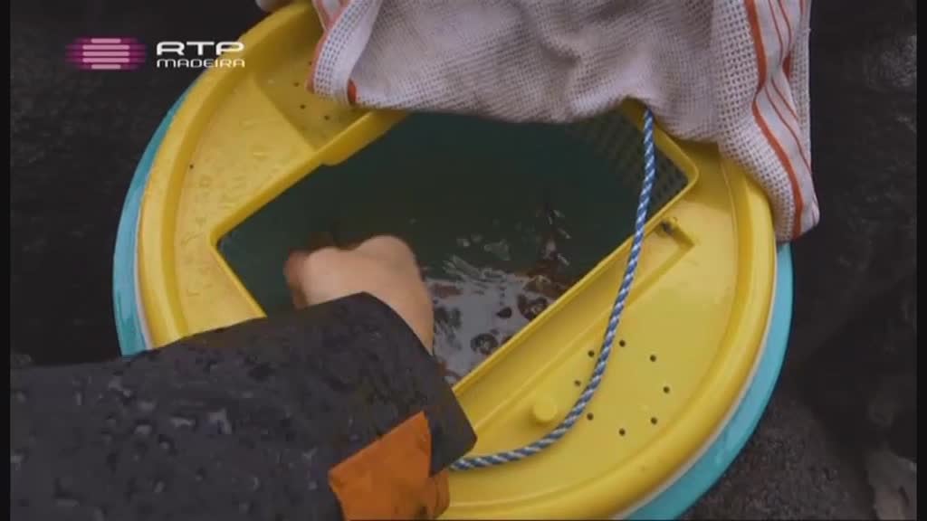 Imagem do Programa / Episiódio - Artes do Mar