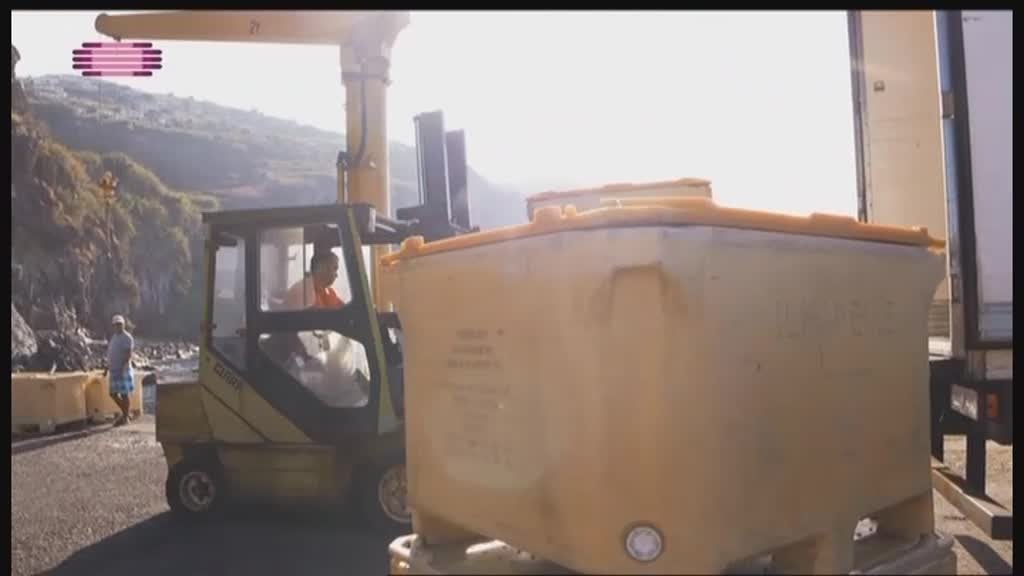 Imagem do Programa / Episiódio - Artes do Mar