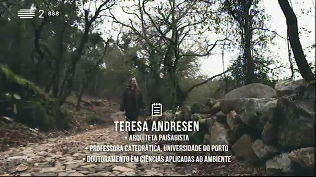 Imagem do Programa / Episiódio - Sentes - O Papel das Cidades na História Humana