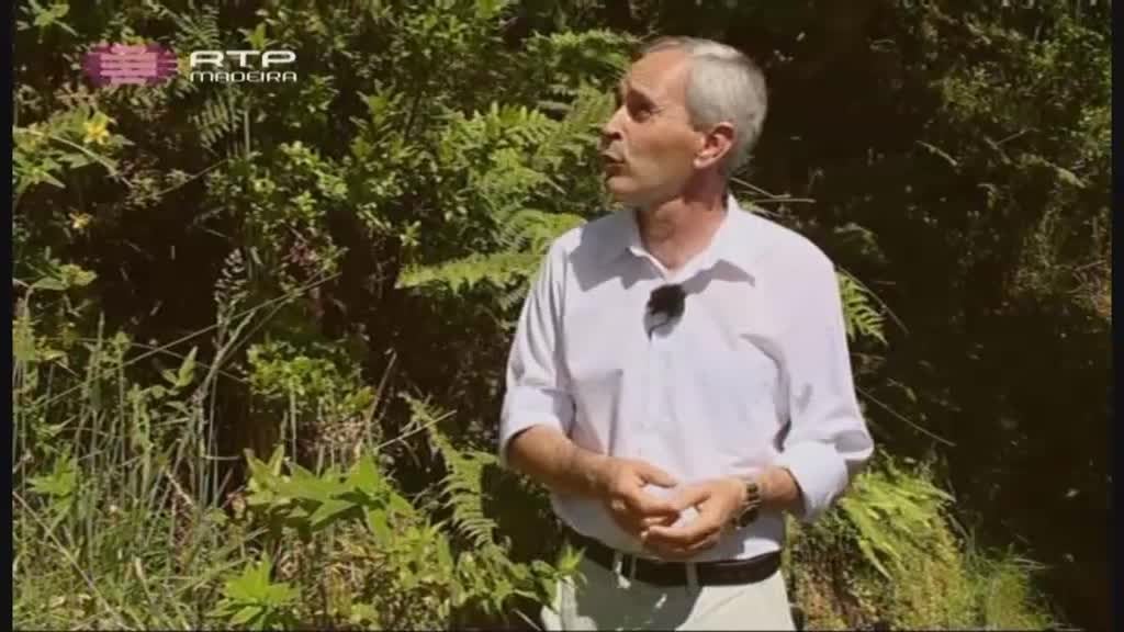 Imagem do Programa / Episiódio - Ilhas da Macaronésia (Açores)
