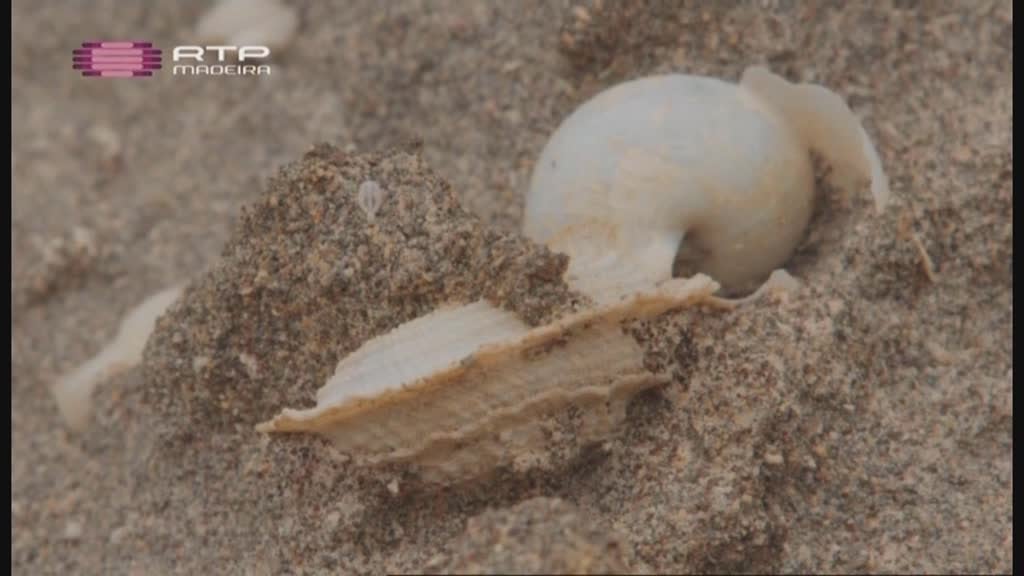 Imagem do Programa / Episiódio - Ilhas da Macaronésia (Açores)