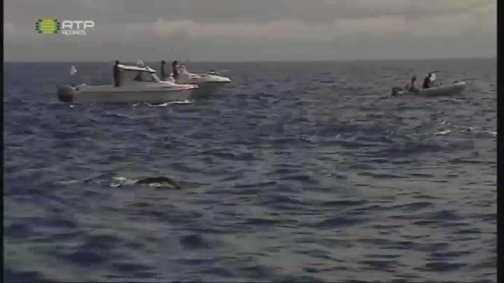 Imagem do Programa / Episiódio - Magazine Náutico