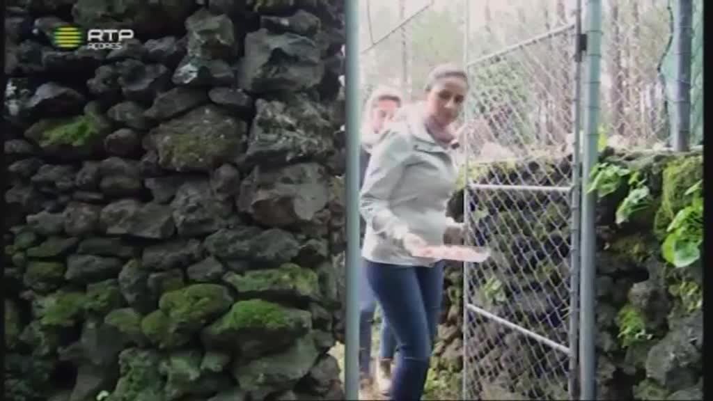 Imagem do Programa / Episiódio - Magazine Verde