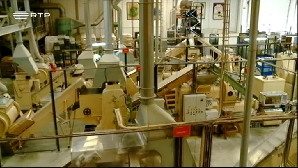 Imagem do Programa / Episiódio - Network Negócios 2016 - Ach Brito e Bio4Natural