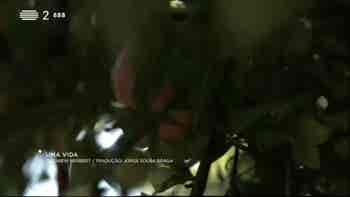 Poetas e "cogita��es" sobre o fim da...