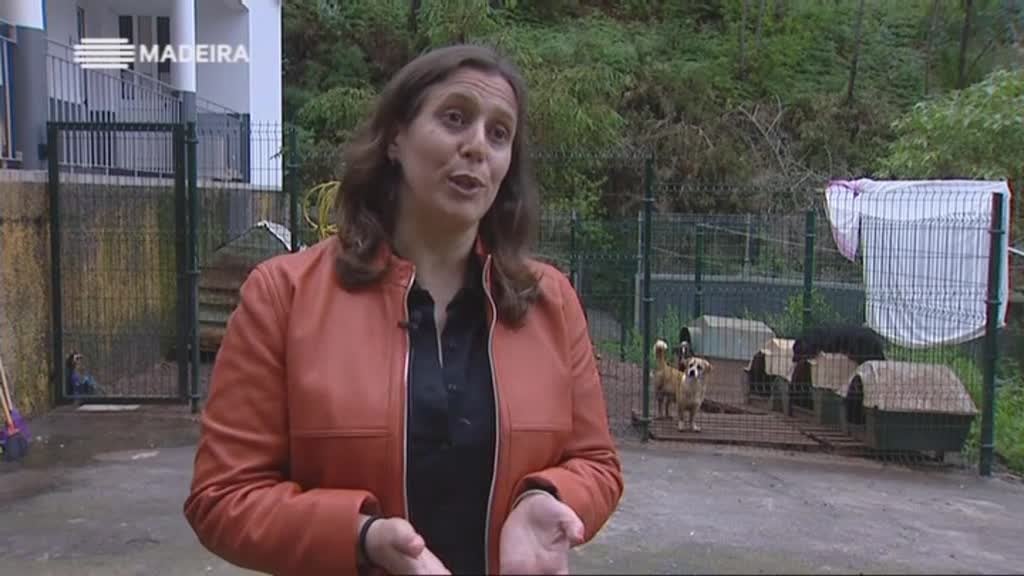 Imagem do Programa / Episiódio - Grande Informação