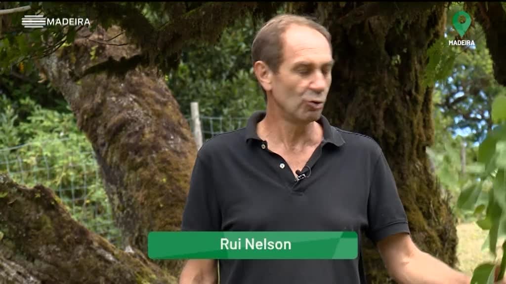 Imagem de Grande Informação