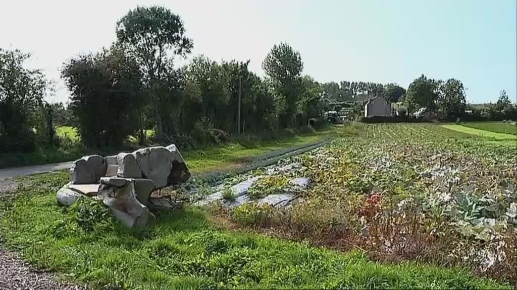 Imagem do Programa / Episiódio - Grande Informação