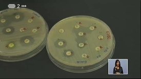 Biosfera - Proliferação de Bactérias Multiressistentes