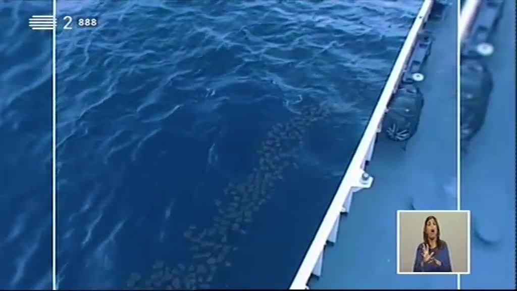 Imagem do Programa / Episiódio - Biosfera - Portos e Marinas