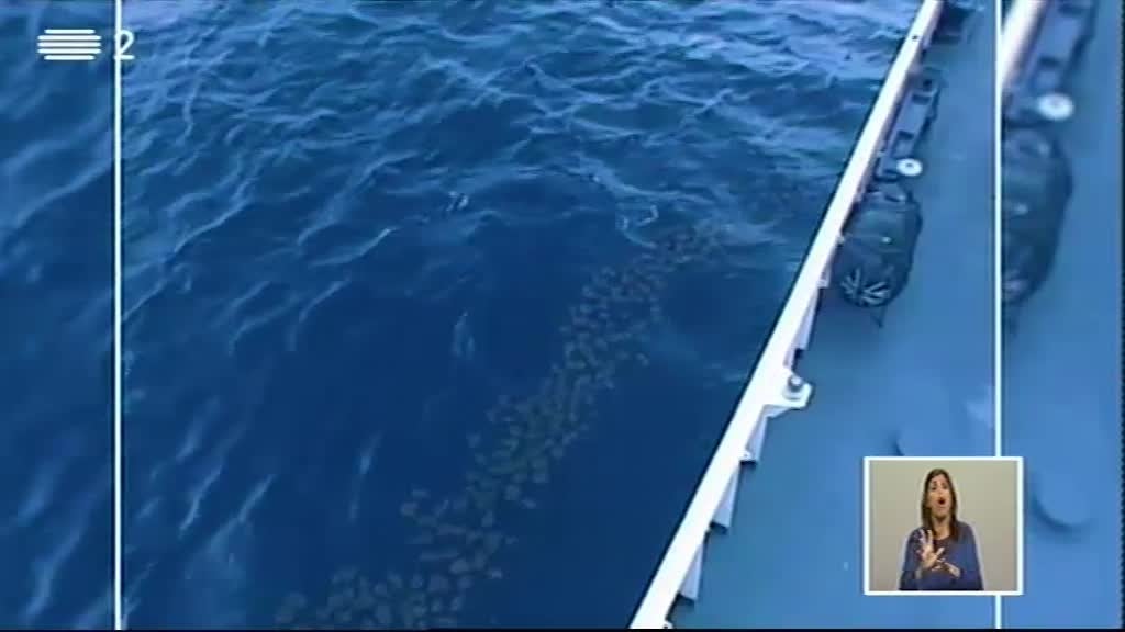 Imagem do Programa / Episiódio - Biosfera