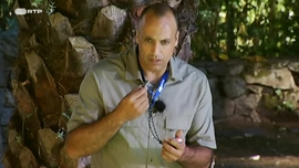 Imagem de Jogos Reais