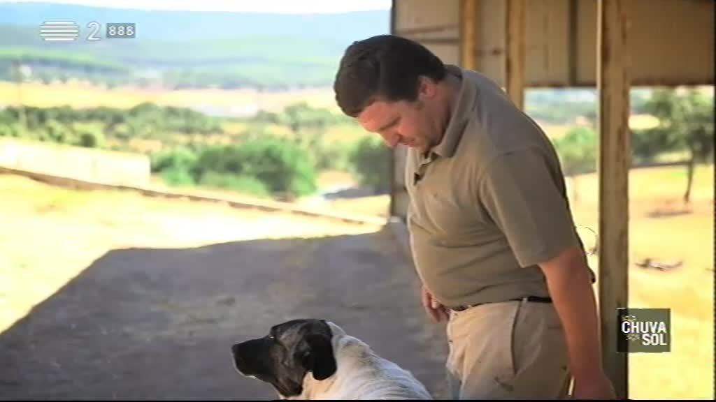 Imagem do Programa / Episiódio - Faça Chuva Faça Sol